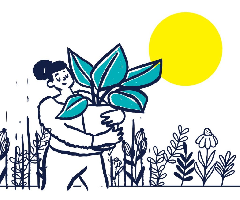Planting new growth in the garden