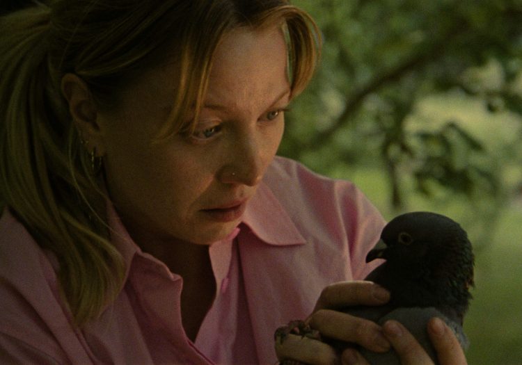 Free short film screening on grief: Monday 17 August